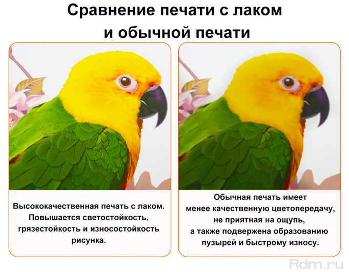 JN-A3 i3200 УФ принтер - высочайшее качество при печати с лаком