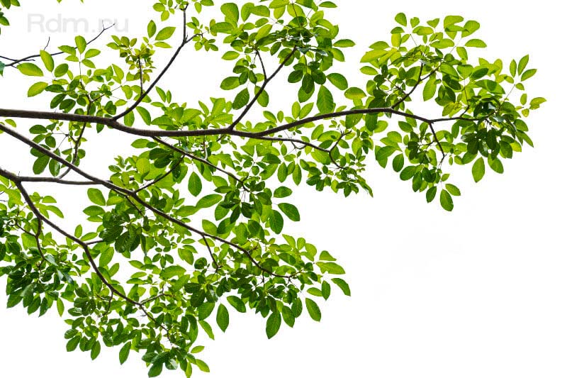 Принтер DA-640 чище, безопаснее, надежнее