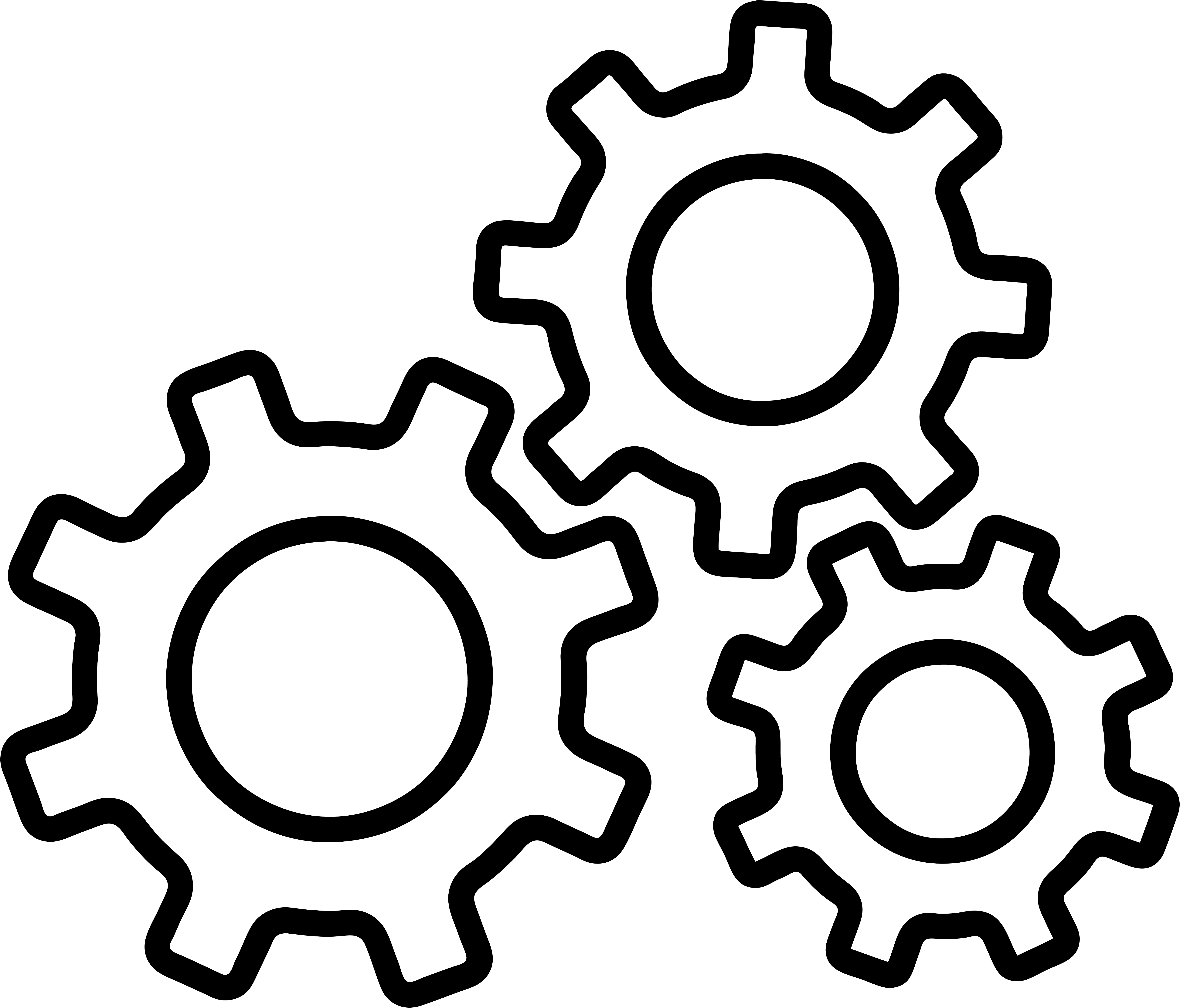 LO-300-F2 планшетный уф принтер Roland имеет мощное программное обеспечение в комплекте