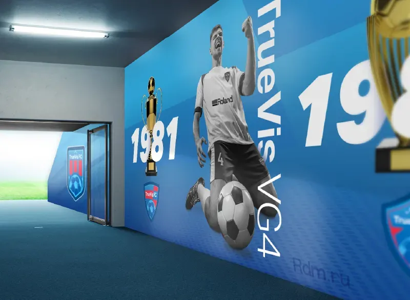 Настенная графика